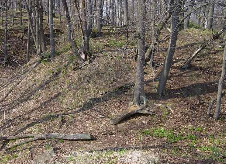 Zřícenina Hradu Najštejn, Czech Republic (Czechia)